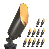 Coloer Diecast Brass Landscape Spotlights Outdoor 12V Acdc Low Voltage Adjustable Yard Lighting Garden Patio Trees Direction