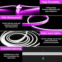 Gupup Neon Light Strip164Ft Violet Neon Lights24V600 Ledsflexiblewaterproofsilicone Led Rope Lightsrope Neon Lights For