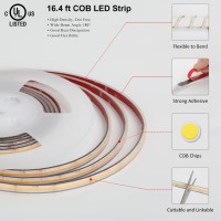 Dephen Outdoor Led Tape Lights 16.4Ft, 6500K 528Leds/M 24V Waterproof Led Strip Lights Outdoor, Ul-Listed Silicone Ip67 Led Strip Lights For Patio, Garden, Porch, Backyard (Not Included Power Supply)