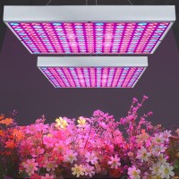 I-Venoya Led Grow Light For Indoor Plants Growing Lamp 225 Leds Uv Ir Red Blue Full Spectrum 75W Led Plant Lights Bulb Panel For Hydroponics Greenhouse Seedling Veg And Flower (2 Pack)