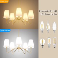 5-Light Modern Chandelier With White Shades, 30