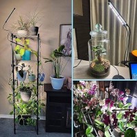 Frgrow Grow Lights For Indoor Plants Full Spectrum Led Plant Grow Lights 3000K5000K660Nm Full Spectrum Plant Growing Lamps