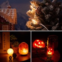 Meonum Accessory Cord With 3 Led Light Bulbs 82 Ft Indoor Blow Mold Light Cord With Female Plug For Halloween Pumpkins Christm