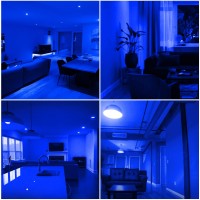 Flaspar Led Blue Light Bulb G14 G45 Mini Globe String Light Bulbs E26 Colored Light Bulbs For Home Wedding Christmas Halloween