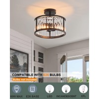 Black Flush Mount Ceiling Light 2 Light Caged Crystal Chandelier Small Drum Hallway Light Fixtures Ceiling Mount Black