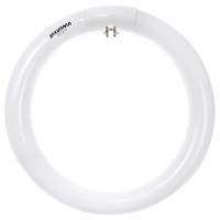 Sylvania (2 Pack) 23521 Cool White Premium Circline Fluorescent T9 Circle 12 Inch Diameter, 32 Watts, 4100K, 1800 Lumens, 80 Cri Fluorescent Light Bulb