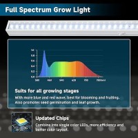 Barrina Grow Lights For Indoor Plants 5000K White Full Spectrum Led Grow Light 1Ft Plant Grow Light Led Grow Light Bulbs T5