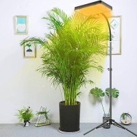 Fecida Grow Lights For Indoor Plants With Stand Uvir Full Spectrum Led Standing Plant Grow Light 2000 Lumen Houseplant Growin