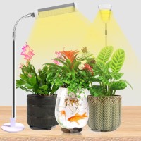 Jsyboy Grow Light For Indoor Plants Plant Lamp For Seedings Succulents Bulbs Full Spectrum Gooseneck Small Plants Growing, Auto On/Off Timing & 5 Dimming (2 Pack Silver)