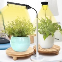 Jsyboy Grow Light For Indoor Plants Plant Lamp For Seedings Succulents Bulbs Full Spectrum Gooseneck Small Plants Growing, Auto On/Off Timing & 5 Dimming (2 Pack Black)