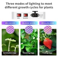 Luyimin Upgraded 1000W Led Grow Lights With Dual Switch Double Chips Full Spectrum Plant Light Grow Lights For Indoor Hydropon