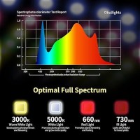 Luyimin Upgraded 1000W Led Grow Lights With Dual Switch Double Chips Full Spectrum Plant Light Grow Lights For Indoor Hydropon