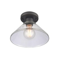 Vivica 10'' Wide 1-Light Flush Mount - Matte Black With Clear