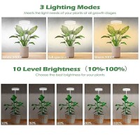 Pronoro Grow Lights For Indoor Plants Full Spectrum Led Clip Plant Lights Height Adjustable And 3 Modes 3912H Automatic Tim