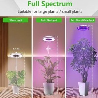 Probapro Plant Grow Light 72 Leds Grow Light For Indoor Plants 5000K Full Spectrum Plant Light 10Level Dimmable Auto On Off T