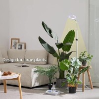 Grow Light With Stand Yadoker Led Plant Light For Indoor Plants Full Spectrum Grow Lamp 81216H Timer 10 Dimmable Levels 7