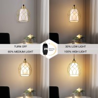 Ruzectt Plug In Pendant Light Hanging Light With Plug In Cord Gold Hanging Lamp With Dimmable Switch 15 Ft Golden Cotton Cord Ha