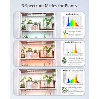 Dommia Plant Light For Indoor Plants Full Spectrum Grow Lights For Indoor Plants 4 Dimmable Brightness Led Grow Lights Strip W