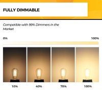 Hizashi Edison Bulbs Dimmable E26 Led Bulb 60 Watt 2700K Soft Warm White St19 Vintage Light Bulbs 95Cri Ul Listed 700Lm 6