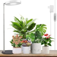 Lordem Grow Light Led Plant Light For Indoor Plants Growing Full Spectrum Desk Growth Lamp With Automatic Timer For 4H8H12H