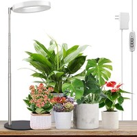 Lordem Grow Light Led Plant Light For Indoor Plants Growing Full Spectrum Desk Growth Lamp With Automatic Timer For 4H8H12H