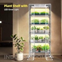 Bstrip Plant Shelf With Grow Light Grow Light Shelf With Cover And Thermometer 6 Tier Plant Stand With Grow Light Greenhouse