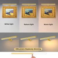 Battery Picture Lights 165Inch2Pack Wireless Rechargeable Painting Light For Art With Remote Full Metal Led Picture Lights Di