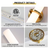 Aijiasi Gold Wall Sconce 18In Modern Bathroom Sconce Wall Lighting 18W 3000K Led Dimmable Wall Sconce Light With Acrylic Lamps