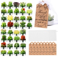 Aixiang 72 Sets Cactus Candles Succulent Tealight Candles + Organza Bags + Thanks Tags For Bridal Shower Candles Favors,Wedding Party Favors For Guests