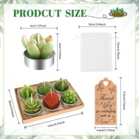 Aixiang 72 Sets Cactus Candles Succulent Tealight Candles + Organza Bags + Thanks Tags For Bridal Shower Candles Favors,Wedding Party Favors For Guests