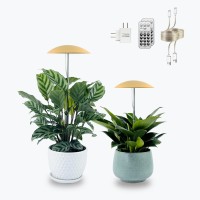 Led Grow Lights For Indoor Plants 2 Pack Smart Usb Small Full Spectrum Plant Lights With Remote Height Adjustable Auto Onoff