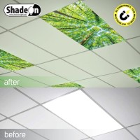 Shadeon Calming Fluorescent Light Covers (Set Of 8, Forest Canopy) - Magnetic Light Filters For Ceiling Lights Classroom & Office, Fits 2X4 Floresant Light Fixtures, Educational Supplies For Teachers