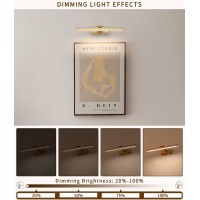 Joosenhouse Picture Light Battery Operated Dimmable Wireless Picture Light With Timer Remote Gold Painting Light Adjustable Swin