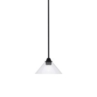 Paramount 1 Light Mini Pendant In Matte Black Finish With 10