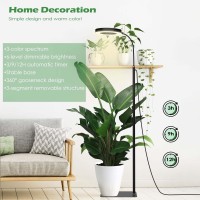 Plant Grow Light With Stand, Led Grow Lights For Indoor Plants, Full Spectrum Plant Growing Floor Lamp, Auto On/Off Timer, 6 Dimmable Levels, 3 Switch Modes, 63 Inches Height Adjustable Height