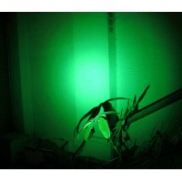 Wondsunson 2 X Green Light Pen Type Penlight Flashlight One Mode Green Light Led Torch For Camping Hiking Fishing Hunting Animal