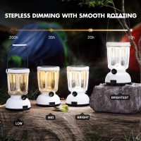 Mesqool Led Camping Lantern Rechargeable Battery Operated 650Lm Portable Solar Lantern Hand Crank Electric Emergency Lantern D