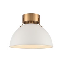 Zayne 12'' Wide 1-Light Semi Flush - Matte White