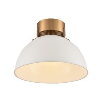 Zayne 12'' Wide 1-Light Semi Flush - Matte White