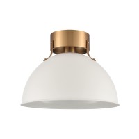 Zayne 12'' Wide 1-Light Semi Flush - Matte White