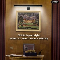 2Pack Battery Led Picture Lights Rechargeable Painting Light With Remote 16Inch Black Display Art Light For Picture Painting Di