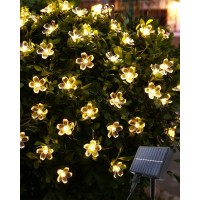 Solar Net Lights With Flower - 5Ft X 5Ft Solar Bush Lights With Cherry Blossoms 8 Modes Mesh Lights Waterproof For Garden Outdoor Decorations(Warm White)