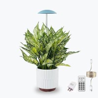 Led Grow Lights For Indoor Plants Smart Usb Small Full Spectrum Plant Lights With Remote Height Adjustable Auto Onoff Timer