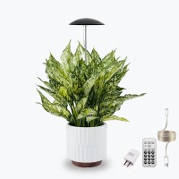 Led Grow Lights For Indoor Plants Smart Usb Small Full Spectrum Plant Lights With Remote Height Adjustable Auto Onoff Timer