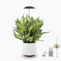 Led Grow Lights For Indoor Plants Smart Usb Small Full Spectrum Plant Lights With Remote Height Adjustable Auto Onoff Timer