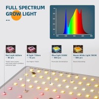 Barrina 480W Bu4800 Led Grow Lights For 4X45X5 Grow Tent Full Spectrum With Ir Daisy Chain Dimmable Adjustable Light Panel