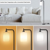 Qimh Floor Lamps For Living Room Modern Led Standing Reading Light For Bedroom With Glass Shade Tall Industrial 3 Colors Dimma