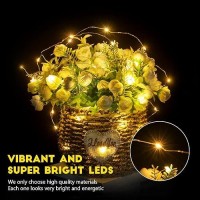 Minetom 24 Pack Fairy Lights Battery Operated String Lights 7 Ft 20 Led Mini String Lights Waterproof Silver Wire Firefly Ligh