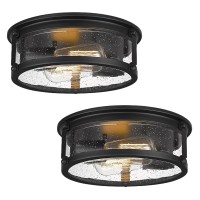 Foitton Industrial Flush Mount Light Fixture, 2-Light Farmhouse Metal Cage Ceiling Lights For Hallway,Kitchen,Stairways,Bedroom,Matte Black Finish 2Pk