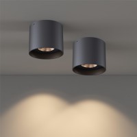 Ilucezzo Ceiling Light Fixture, Flush Mount Ceiling Lights Led Dimmable Cylinder Ceiling Light Spot Light For Living Room Hallway Kitchen Dining Room Foyer 3000K 14.5W (Black) 2-Pack